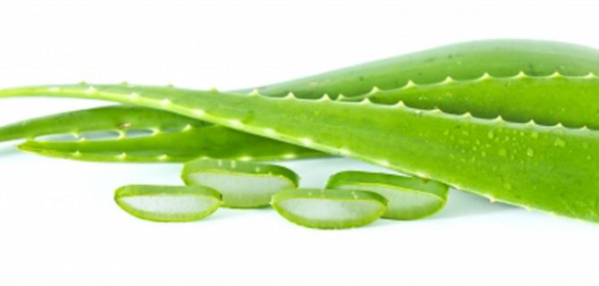 aloe vera juice