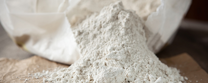 Diatomaceous earth