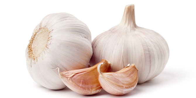 garlic