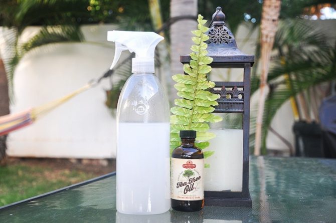 tea tree oil cleaner