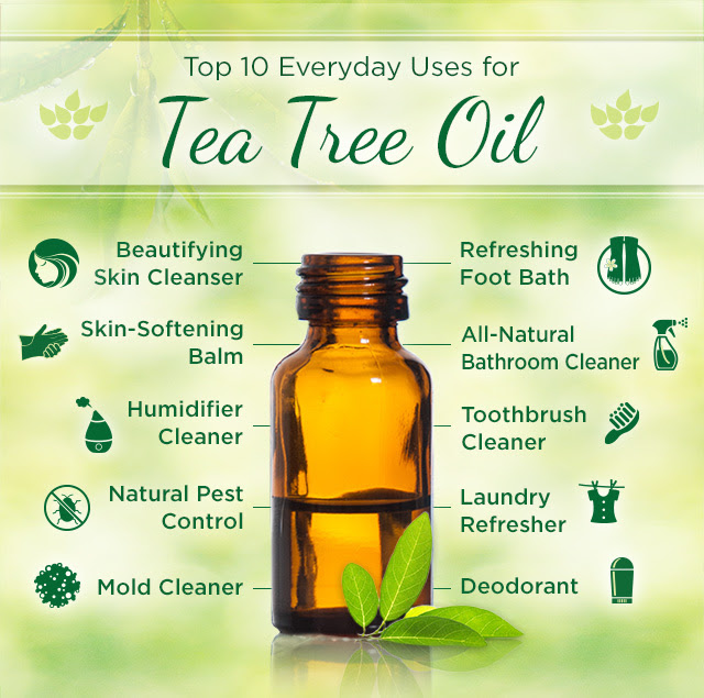 22 Everyday Uses and Health Benefits of Tea Tree Oil